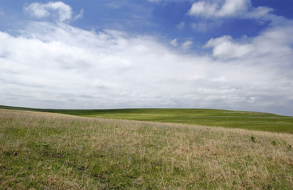 Prairie • Grasslands